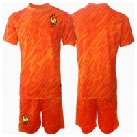 Camiseta Francia Portero Segunda Equipación Replica Eurocopa 2024 para niños mangas cortas (+ Pantalones cortos)